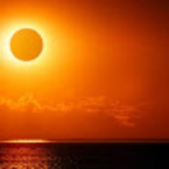 Meet your Posher, Felicia - Picture 1 of 1